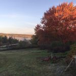 Beautiful scenic view from Wind Whistle Farm