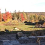 Scenic view from Wind Whistle Farm